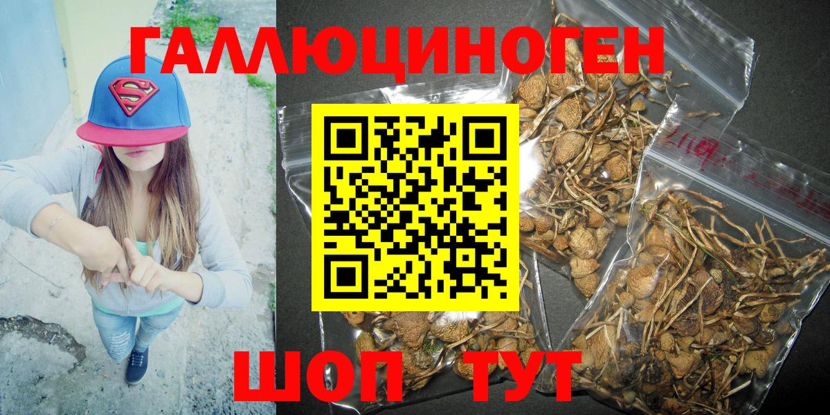 Галлюциногенные грибы Magic Shrooms  закладка  Чебоксары 