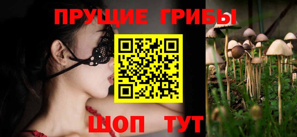 Галлюциногенные грибы Cubensis  Вход с VPN  Чебоксары 