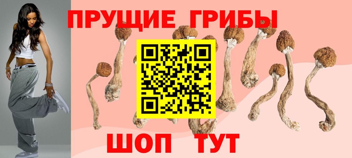 Псилоцибиновые грибы Cubensis Чебоксары